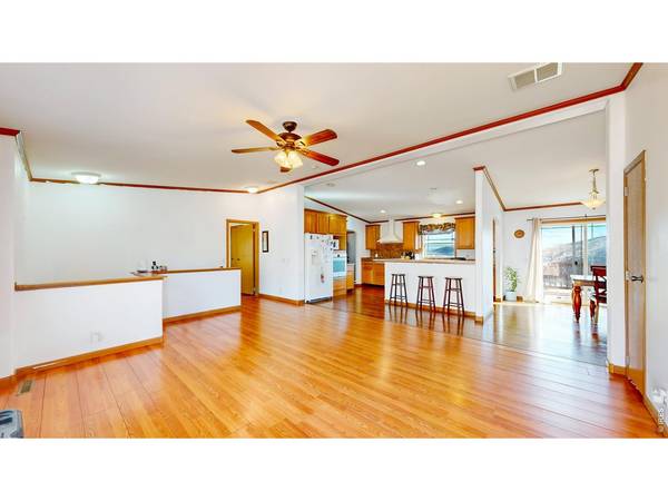 38 Carson Peak, Livermore, CO 80536