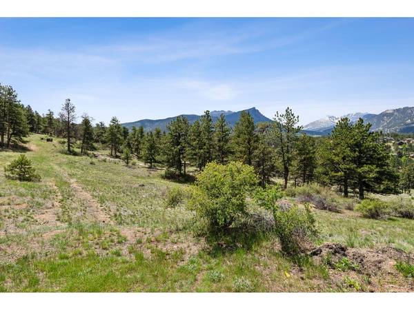 Lot 42 Governors, Estes Park, CO 80517