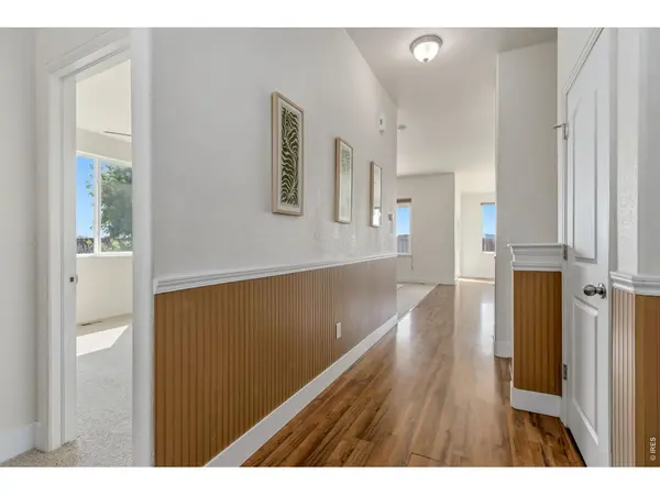 7397 Indigo Run, Wellington, CO 80549