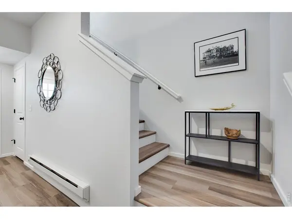 1805 Bounty #6, Windsor, CO 80550