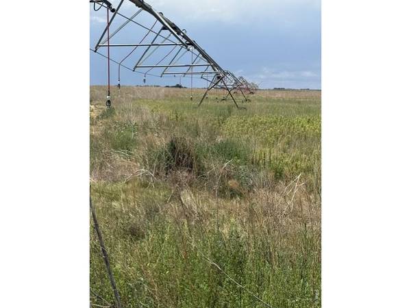 0 County Road 63, Gill, CO 80624