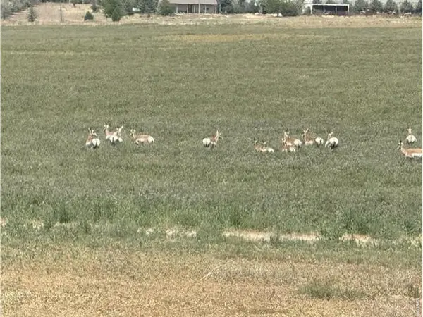 0 County Road 63, Gill, CO 80624