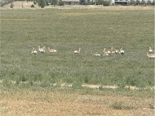 0 County Road 63, Gill, CO 80624