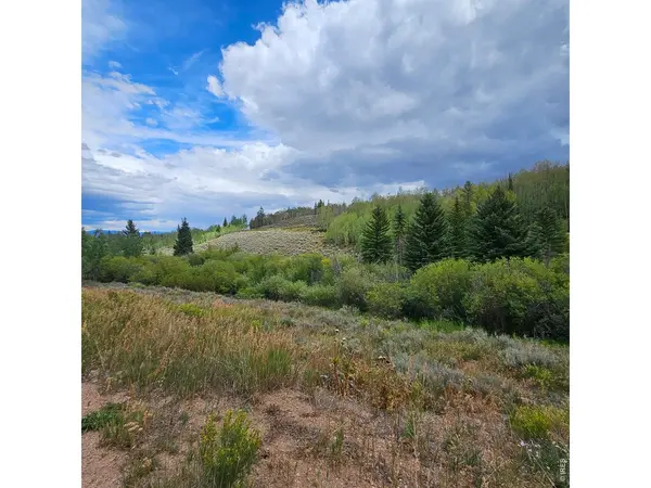 75 County Road 1932, Kremmling, CO 80459