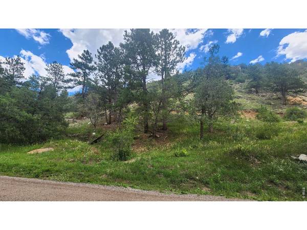 0 Streamside, Glen Haven, CO 80532
