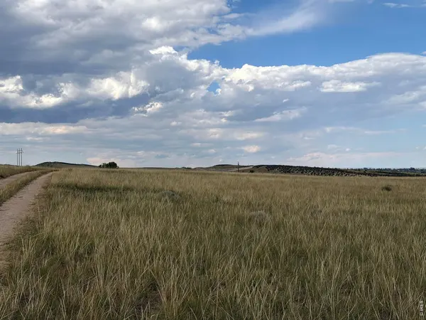 60 Niobrara Ridge, Laporte, CO 80535