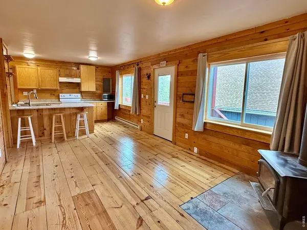 393 Pine Cone, Ward, CO 80481