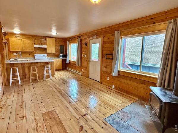 393 Pine Cone, Ward, CO 80481