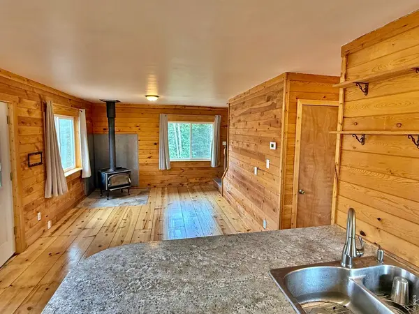 393 Pine Cone, Ward, CO 80481