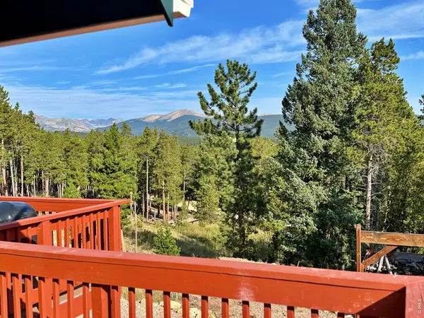 393 Pine Cone, Ward, CO 80481