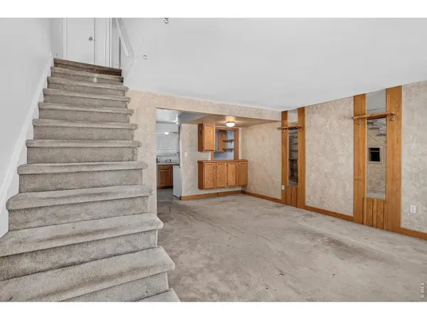 219 Chestnut #C2, Windsor, CO 80550