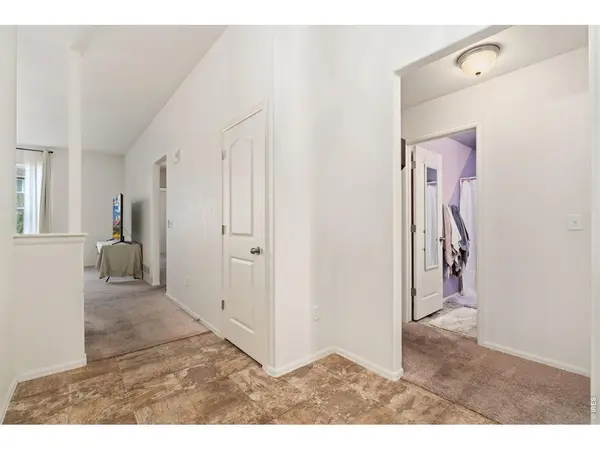 763 Dakota, Windsor, CO 80550