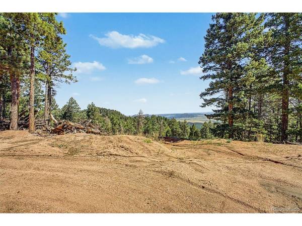 2199 Badger, Larkspur, CO 80118