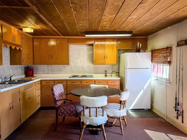 4100 USFS 515 #286, Creede, CO 81130