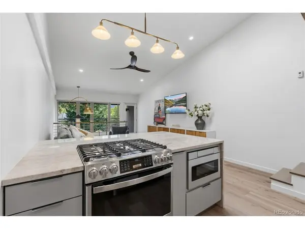 302 S High #2, Breckenridge, CO 80424