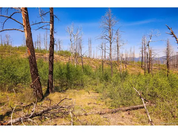 362 Soubry, Fort Garland, CO 81133