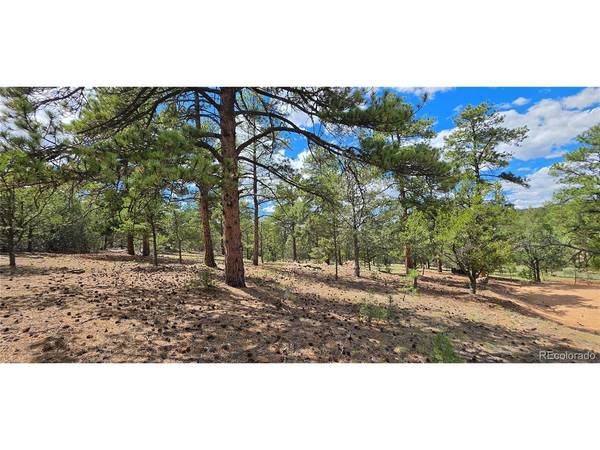 638 Keith, Cotopaxi, CO 81223