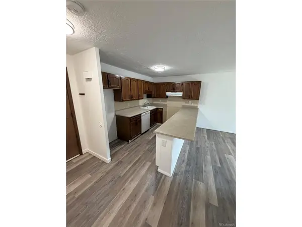 705 Straight Creek #102, Dillon, CO 80435