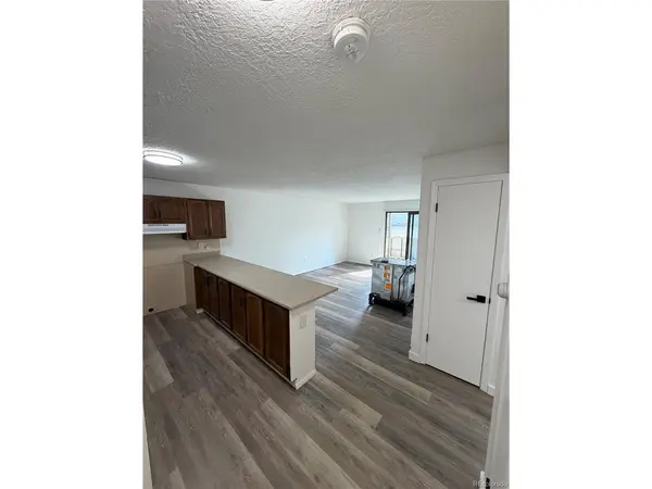 705 Straight Creek #102, Dillon, CO 80435
