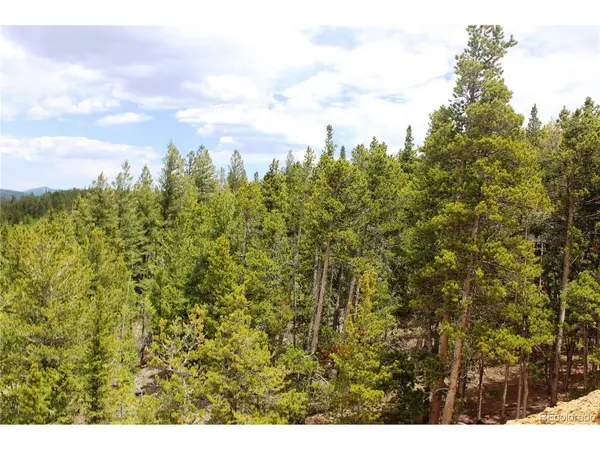 19129 Eliza, Idaho Springs, CO 80461