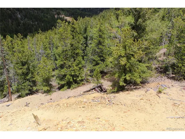 19129 Eliza, Idaho Springs, CO 80461