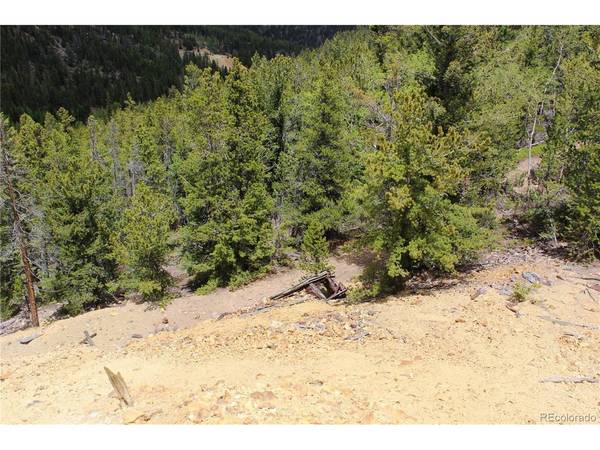 19129 Eliza, Idaho Springs, CO 80461
