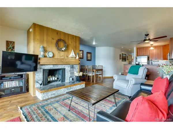 311 W La Bonte #206, Dillon, CO 80435