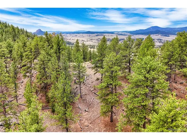 711 Willow, Jefferson, CO 80456