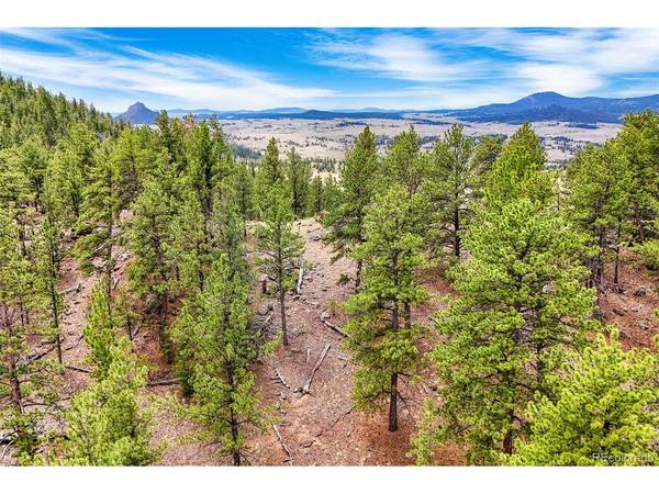 711 Willow, Jefferson, CO 80456