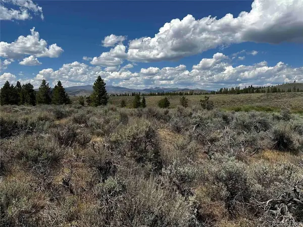 1028 Cty Rd 6236N / Meadow, Granby, CO 80446