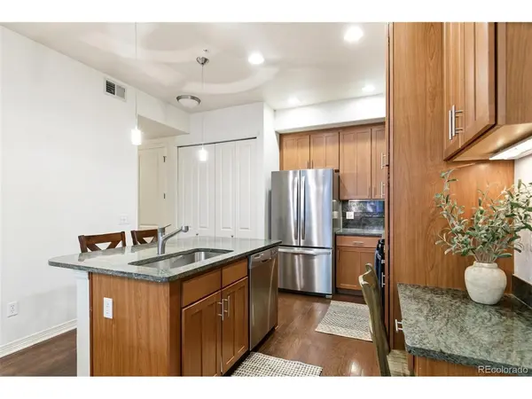 1100 N Grant #306, Denver, CO 80203