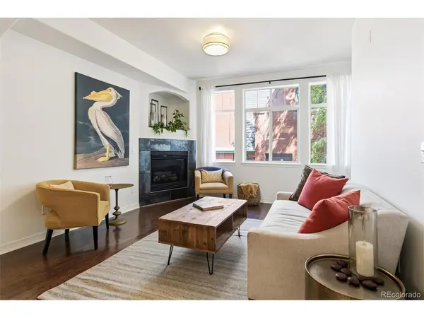 1100 N Grant #306, Denver, CO 80203