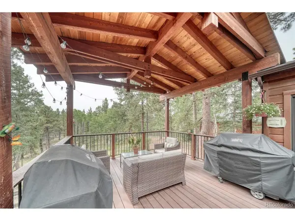 5544 County Road 5, Divide, CO 80814