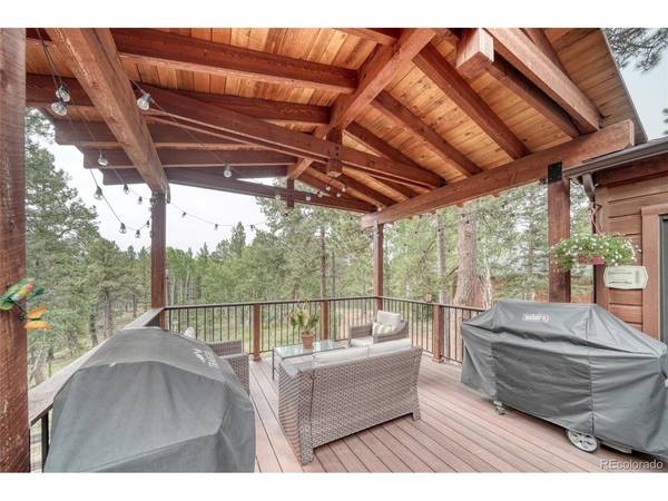 5544 County Road 5, Divide, CO 80814