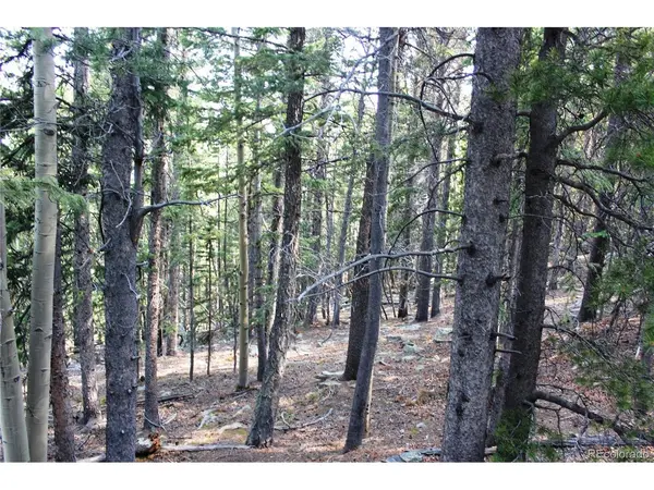 18 Hidden Wildernes, Idaho Springs, CO 80461