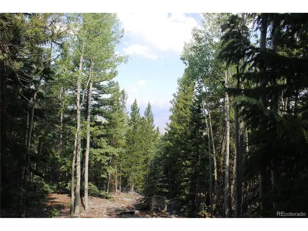 18 Hidden Wildernes, Idaho Springs, CO 80461