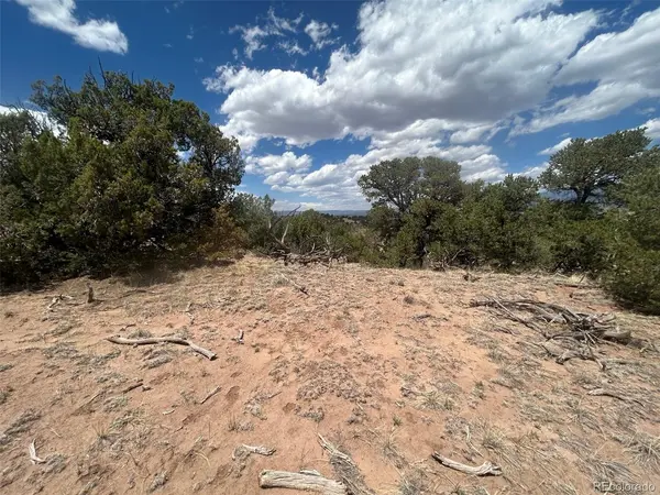 CR 530, Walsenburg, CO 81089