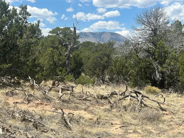 CR 530, Walsenburg, CO 81089