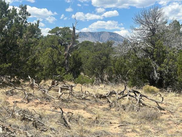 CR 530, Walsenburg, CO 81089