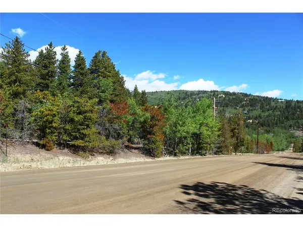 6050 Virginia Canyon, Central City, CO 80427