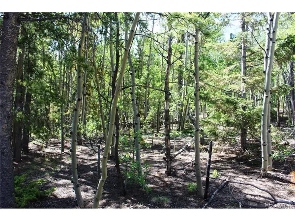 6050 Virginia Canyon, Central City, CO 80427