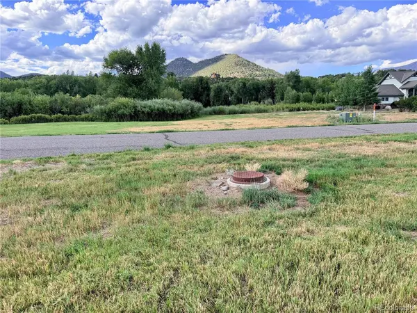 48 Iron Bridge, South Fork, CO 81154