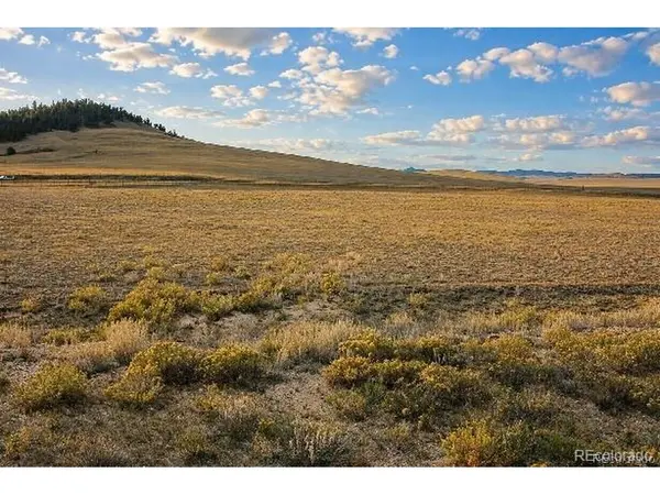 6065 Moffat, Hartsel, CO 80449