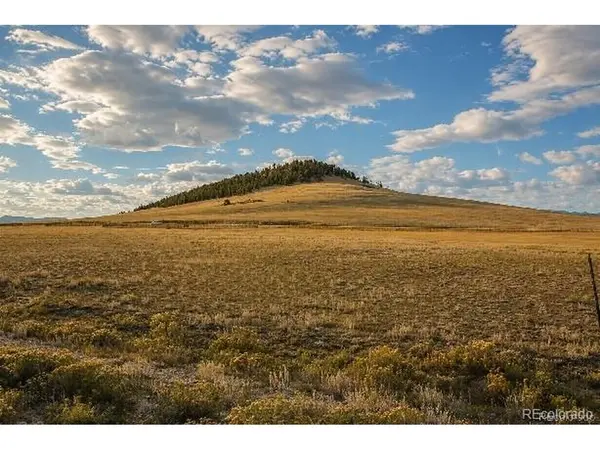 6065 Moffat, Hartsel, CO 80449