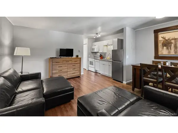 301 N French #305, Breckenridge, CO 80424