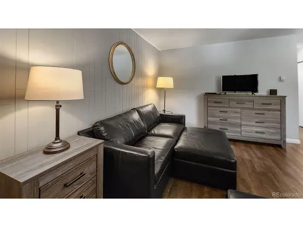 301 N French #305, Breckenridge, CO 80424