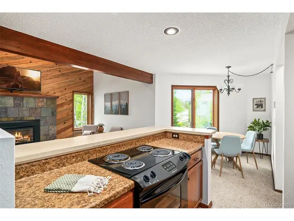 370 Forest #D, Winter Park, CO 80482
