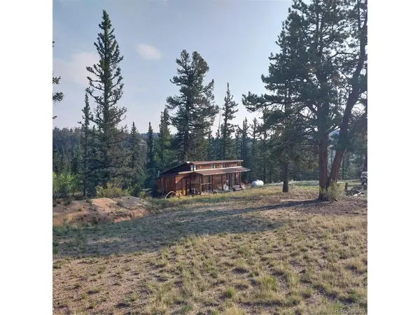 1167 Latigo, Hartsel, CO 80449