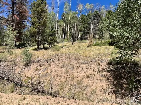 5655 Highlander, Fort Garland, CO 81133