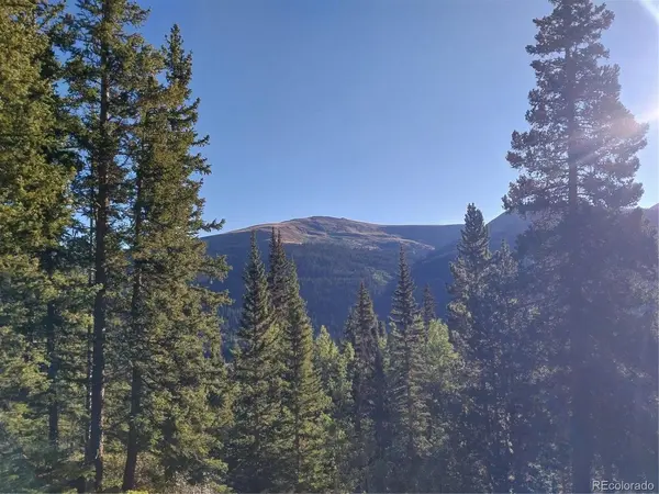 1062 Roberts, Alma, CO 80420